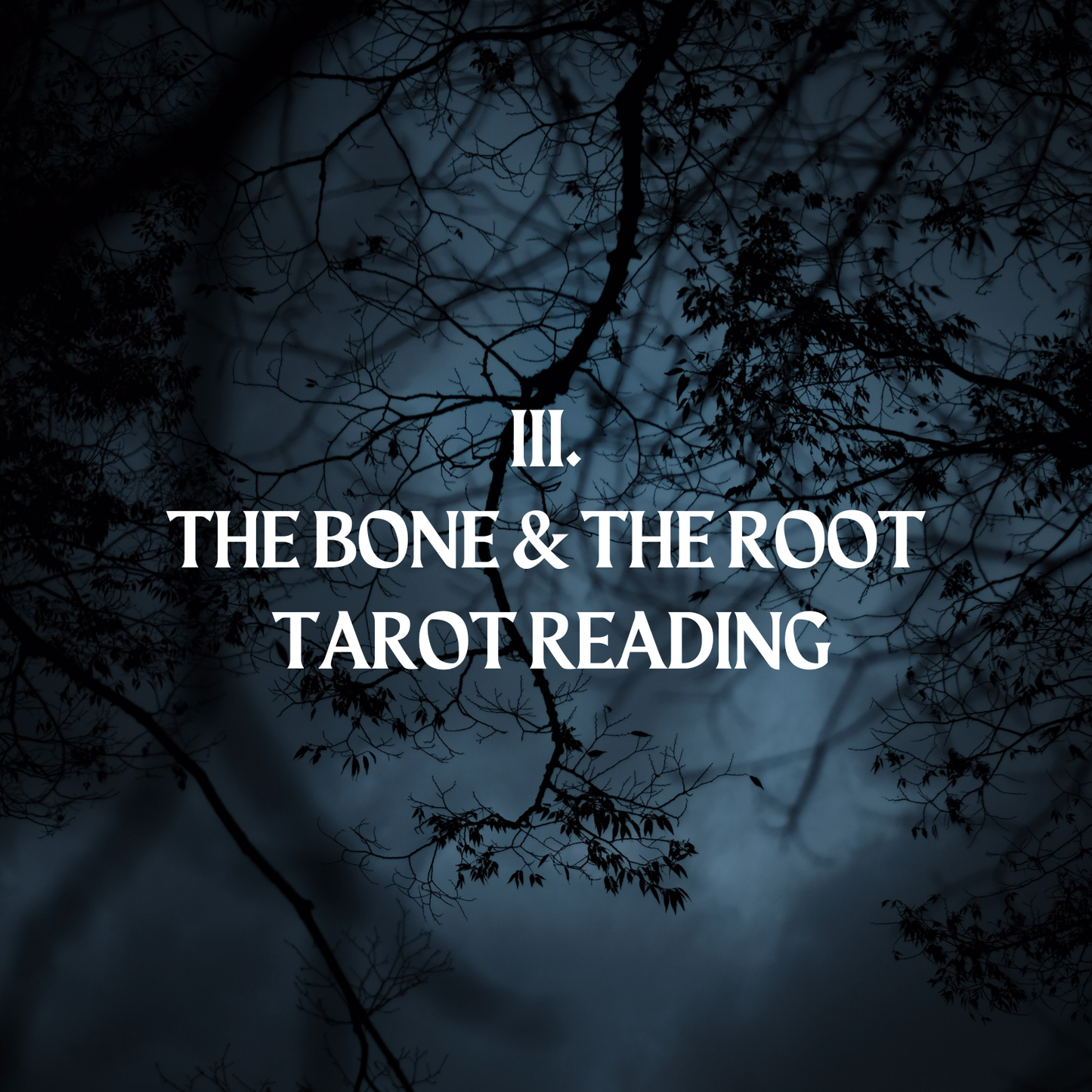 The Bone & the Root - Tarot Reading