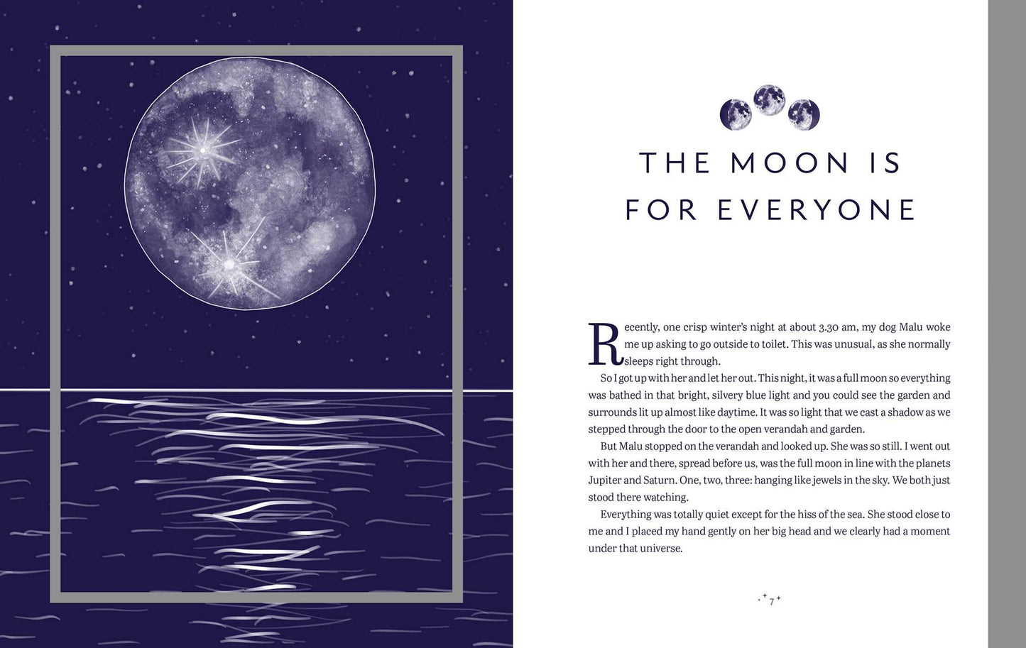 The Enchanted Moon - Stacey Demarco