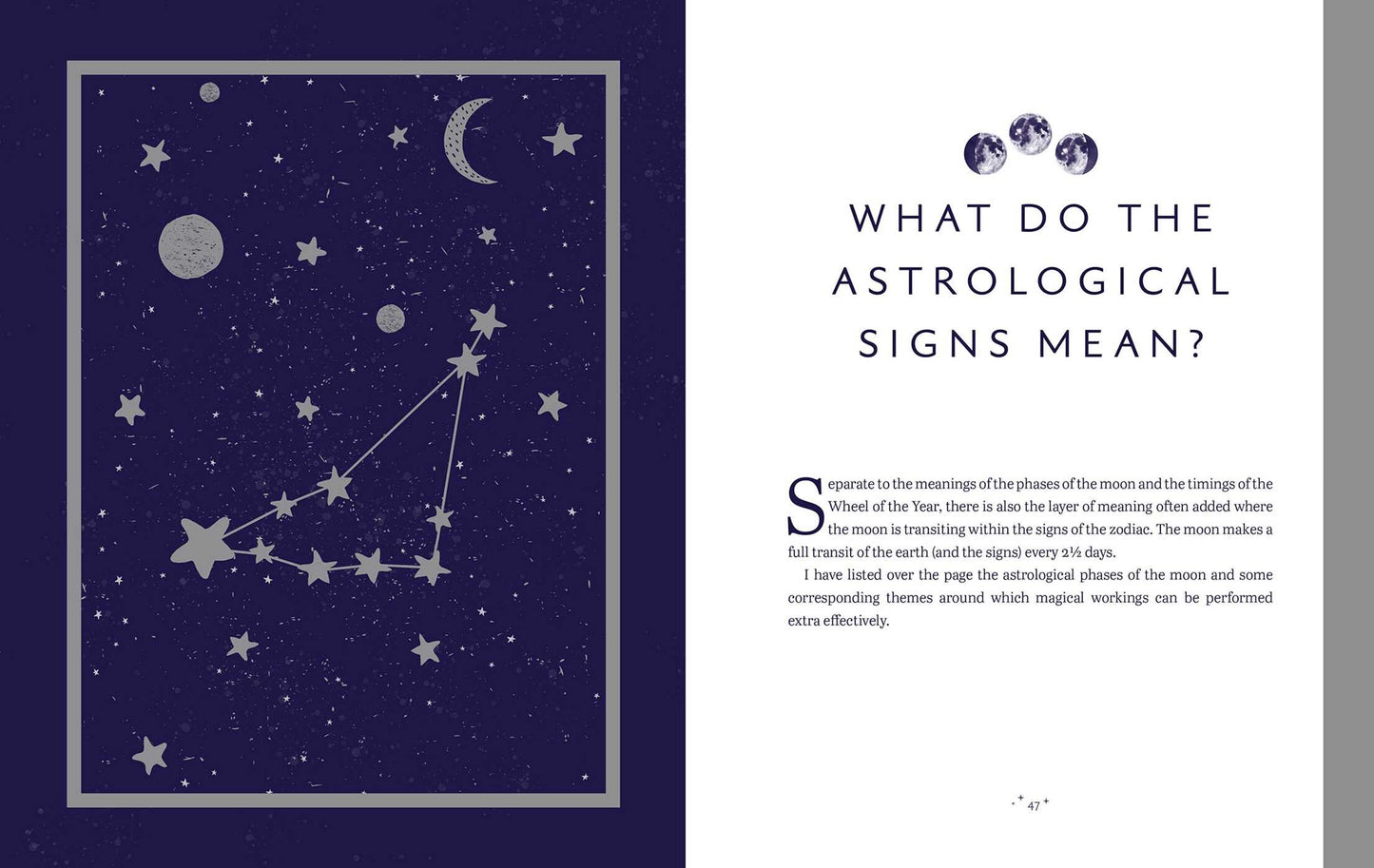 The Enchanted Moon - Stacey Demarco